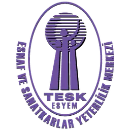 TESK & ESYEM logo